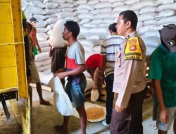 Sinergi Bhabinkamtibmas dan Petani Mareje Timur: Dorong Distribusi Hasil Panen Jagung Berkualitas ke Bulog