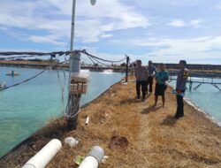 Kapolsek Sambelia Cek TKP Dugaan Pencurian di Tambak Udang Desa Dara Kunci