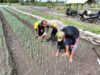 Bhabinkamtibmas Desa Bagik Papan Perkuat Ketahanan Pangan Lewat Silaturahmi dan Cek Tanaman Bawang Merah