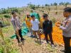 Polres Lombok Tengah Tinjau Panen Jagung di Kuta, Dukung Ketahanan Pangan