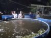 Kapolsek Terara Kunjungi Pembudidaya Ikan Bioflok di Desa Sukadana, Dukung Ketahanan Pangan
