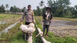 Polsek Labuapi Dorong Kemandirian Pangan di Lombok Barat