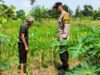 Bhabinkamtibmas Labuapi Kawal Ketahanan Pangan Nasional hingga ke Desa