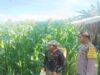 Polsek Gerung di Desa Banyu Urip, Kawal Ketahanan Pangan Langsung dari Lahan Pertanian