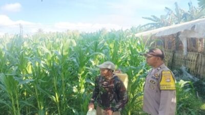Polsek Gerung Kawal Program Ketahanan Pangan di Banyu Urip