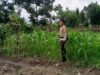 Sinergi Kuat Polsek Labuapi dan Petani: Ubah Lahan Tidur Jadi Kunci Swasembada Pangan