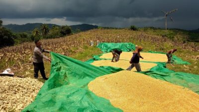 Sukseskan Program Asta Cita, Polsek Sekotong Sasar Petani
