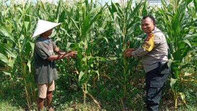 Polri Dukung Ketahanan Pangan Melalui Pendampingan Petani