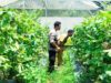 Bhabinkamtibmas Desa Bengkel Kawal Ketahanan Pangan