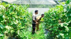 Bhabinkamtibmas Desa Bengkel Perkuat Ketahanan Pangan