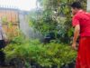 Langkah Humanis Polsek Labuapi Optimalkan Lahan Tidur Demi Gizi Keluarga