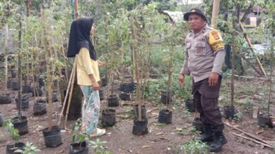 Bhabinkamtibmas Bagik Polak Barat Perkuat Ketahanan Pangan