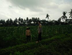 Bhabinkamtibmas Desa Masbagik Selatan Cek Lahan Ketahanan Pangan Bergizi di Tanak Malit Utara