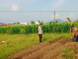 Wujudkan Kemandirian Agraria, Personel Polsek Labuapi Turun Langsung Dampingi Petani Olah Lahan Produktif