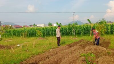 Polsek Labuapi Dukung Program Ketahanan Pangan Nasional