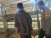 Kemandirian Pangan Desa Beleke: Sinergi Bhabinkamtibmas dan Peternak Lokal demi Stabilitas Ekonomi