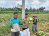 Bhabinkamtibmas Desa Bagik Papan Cek Panen Jagung dan Sampaikan Himbauan Kamtibmas kepada Warga