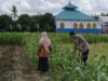 Bhabinkamtibmas di Lombok Barat Sulap Lahan Kosong Jadi Kebun Pangan
