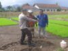 Sinergi Nyata di Tengah Sawah, Cara Polres Lombok Barat Motivasi Petani Gerung Capai Target Panen Maksimal