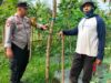 Bhabinkamtibmas Arab Kenangan Monitoring Ketahanan Pangan Warga, Dukung Program Swasembada