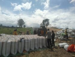 POLRES DOMPU DUKUNG KETAHANAN PANGAN, BHABINKAMTIBMAS DESA SANEO DAMPINGI PETANI JAGUNG DI WOJA