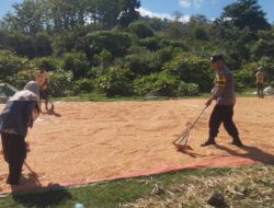 WUJUD DUKUNGAN POLRI TERHADAP KETAHANAN PANGAN NASIONAL, BHABINKAMTIBMAS DESA KEMPO DAMPINGI PETANI JAGUNG
