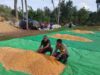 Ketahanan Pangan Jadi Prioritas, Polsek Kempo Intens Dampingi Warga Binaan