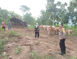 Bhabinkamtibmas Desa Dorebara Edukasi Warga Jaga Lahan Pertanian dan Ternak Demi Ketahanan Pangan