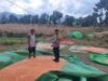 Bantu Aktivitas Petani di Desa Binaan, Upaya Bhabinkamtibmas Polsek Donggo Sukseskan Program Ketahanan Pangan Nasional