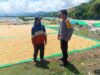 BHABINKAMTIBMAS DESA MARADA LAKUKAN PEMANTAUAN HASIL PANEN JAGUNG WARGA DALAM MENDUKUNG PROGRAM KETAHANAN PANGAN NASIONAL