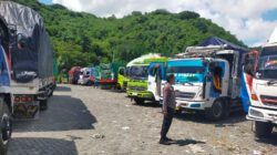 Pengiriman Hewan Ternak di Pelabuhan Lembar Kini Nihil Antrean