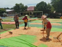 Polri Hadir di Tengah Petani, Bhabinkamtibmas Kempo Dampingi Proses Pasca Panen Jagung