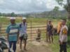 BHABINKAMTIBMAS DESA TANJU SAMBANG PETANI PADI, AJAK WARGA SISIHKAN HASIL PANEN UNTUK MUSIM TANAM BERIKUTNYA