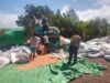 Panen Jagung di Pekat Dipantau Polisi, Warga Diimbau Waspada Saat Gunakan Mesin Giling