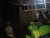 Warga Lembar Bisa Tidur Nyenyak, Polsek Lembar Jaga Ketat Kandang Ternak dari Incaran Maling Malam Hari
