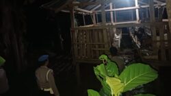 Polsek Lembar Gencarkan Patroli Malam Cegah Pencurian Ternak