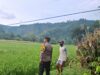 Dukung Ketahanan Pangan, Bhabinkamtibmas Desa Sampe Dampingi Petani Optimalkan Lahan Produktif