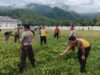 Bhabinkamtibmas Kelurahan Menala Gotong Royong Bersama di Mako Polsubsektor Brang Ene