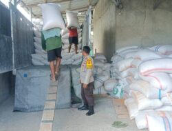 Polsek Gerung dan Mitra Pastikan Pasokan Jagung Aman untuk Ketahanan Pangan