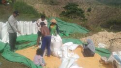 Kapolsek Woja: Bhabinkamtibmas Berperan Aktif Mendukung Produktivitas Pertanian Masyarakat