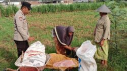 Bhabinkamtibmas Polsek Labuapi Dampingi Petani Olah Lahan