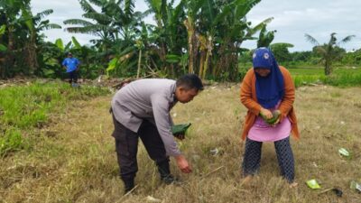 Sentuhan Humanis Bhabinkamtibmas Olah Lahan Kosong Bersama Warga, Bukti Polri Sokong Kedaulatan Pangan Nasional
