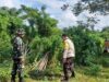 Sinergi TNI-Polri di Lombok Barat Sulap Lahan Tidur Jadi Kunci Swasembada Pangan Nasional