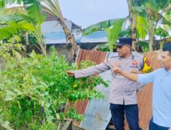 Kemandirian Pangan Dimulai dari Rumah, Bhabinkamtibmas di Lombok Barat Edukasi Warga Manfaatkan Lahan Kosong Secara Maksimal