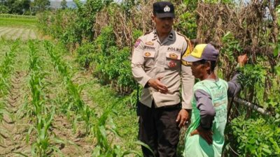 Cara Cerdas Bhabinkamtibmas Labuapi Ajak Warga Sulap Lahan Kosong Demi Ketahanan Pangan Nasional