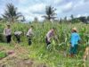 Sat Binmas Polres Lombok Tengah Cek Kesiapan Panen Raya Jagung Kuartal II 2026