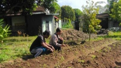 Bhabinkamtibmas Desa Senteluk Edukasi Lahan Produktif