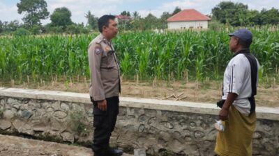 Ketahanan Pangan Polsek Labuapi Dampingi Petani Telagawaru