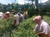 Bhabinkamtibmas Desa Kesik Polsek Masbagik Cek Lahan Ketahanan Pangan Bergizi Tanaman Cabai