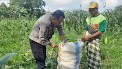 Cara Polsek Labuapi Perkuat Ketahanan Pangan dari Tingkat Desa